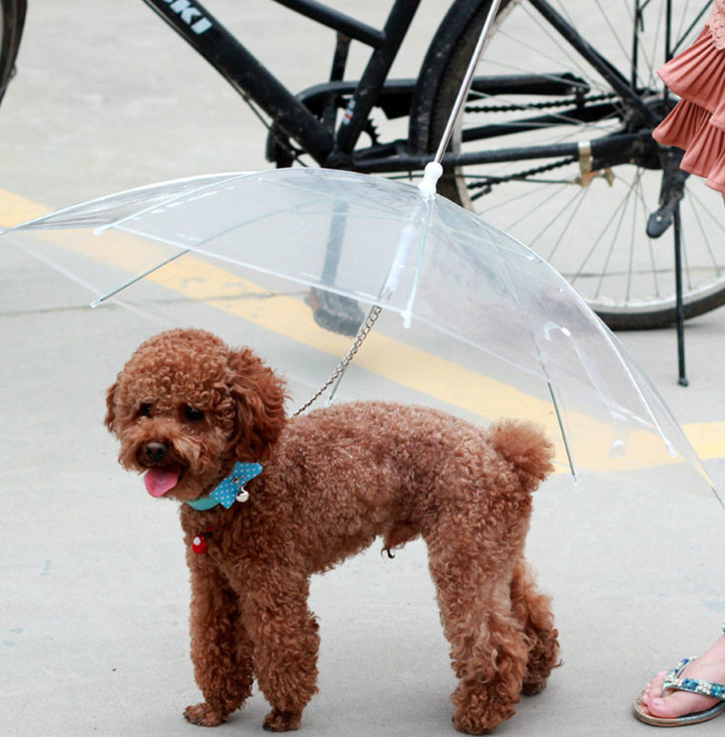 Small Dog Umbrella Leash