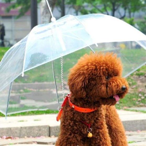 Small Dog Umbrella Leash