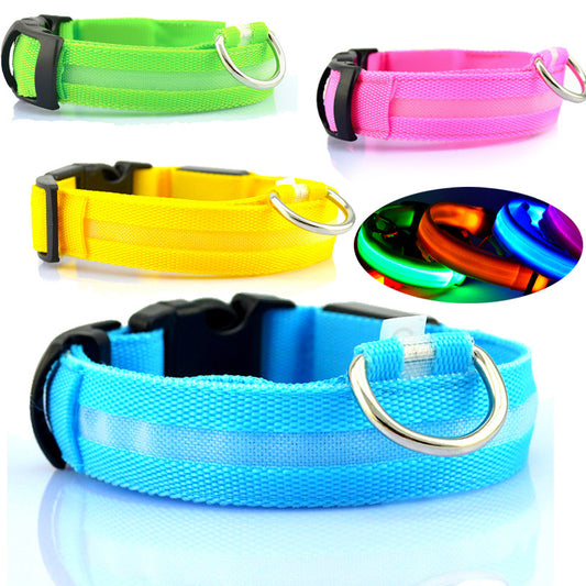 Light The Way - LED Dog Collar With Attachable Tracker