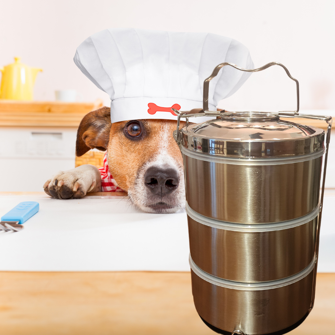 Stainless steel dog food storage clearance containers